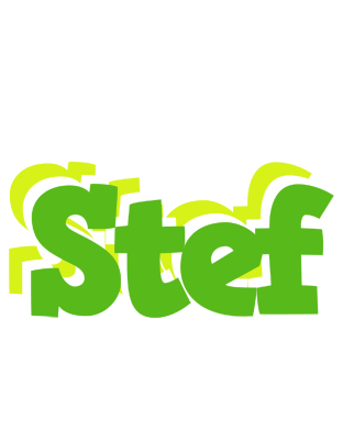 Stef picnic logo