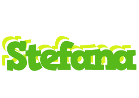 Stefana picnic logo