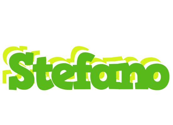 Stefano picnic logo