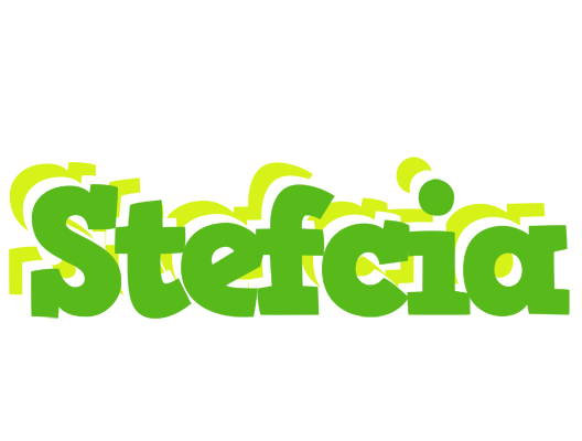 Stefcia picnic logo