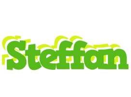 Steffan picnic logo