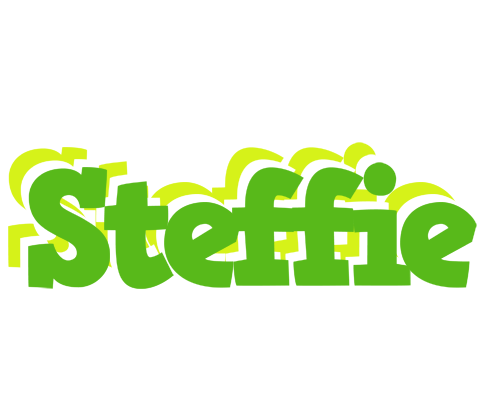 Steffie picnic logo