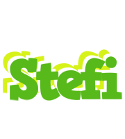 Stefi picnic logo