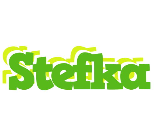 Stefka picnic logo