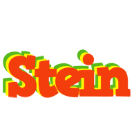 Stein bbq logo