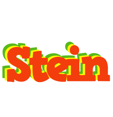 Stein bbq logo