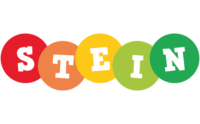 Stein boogie logo