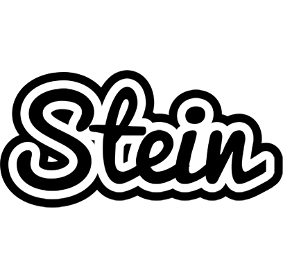 Stein chess logo