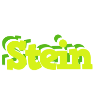 Stein citrus logo