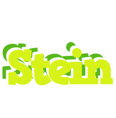 Stein citrus logo