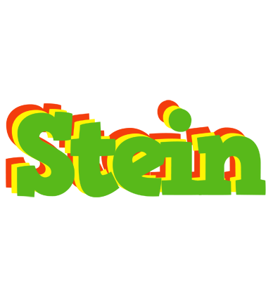 Stein crocodile logo