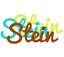 Stein cupcake logo