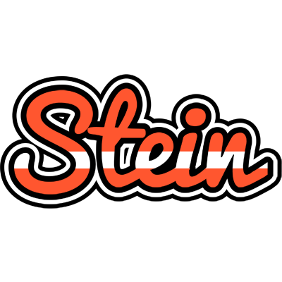 Stein denmark logo