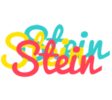 Stein disco logo