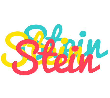 Stein disco logo