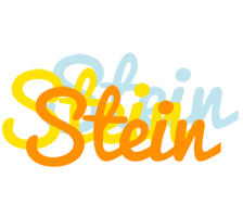 Stein energy logo