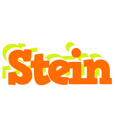 Stein healthy logo