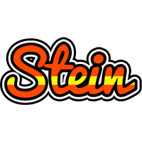 Stein madrid logo