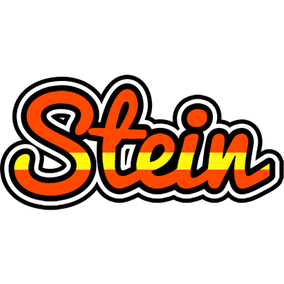 Stein madrid logo