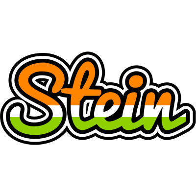 Stein mumbai logo