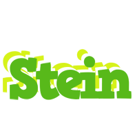 Stein picnic logo