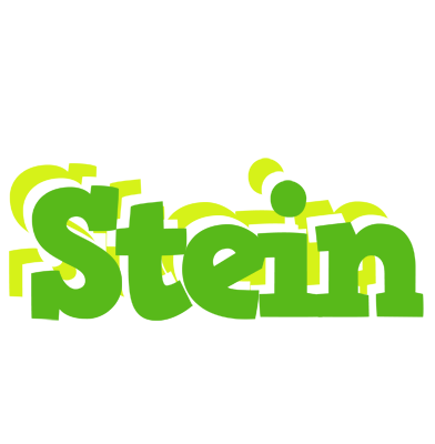 Stein picnic logo