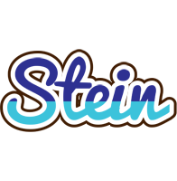 Stein raining logo