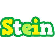 Stein soccer logo