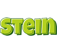 Stein summer logo