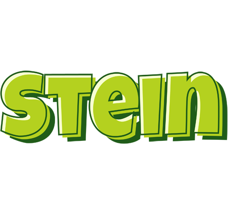 Stein summer logo