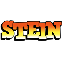 Stein sunset logo