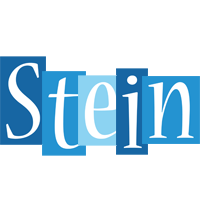 Stein winter logo