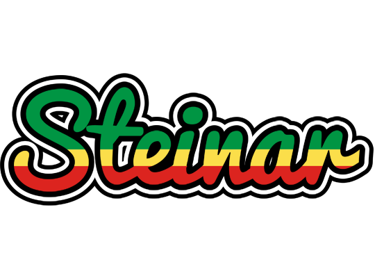 Steinar african logo