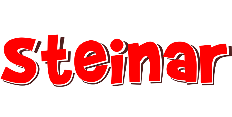 Steinar basket logo