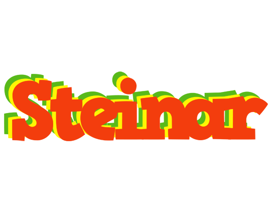 Steinar bbq logo
