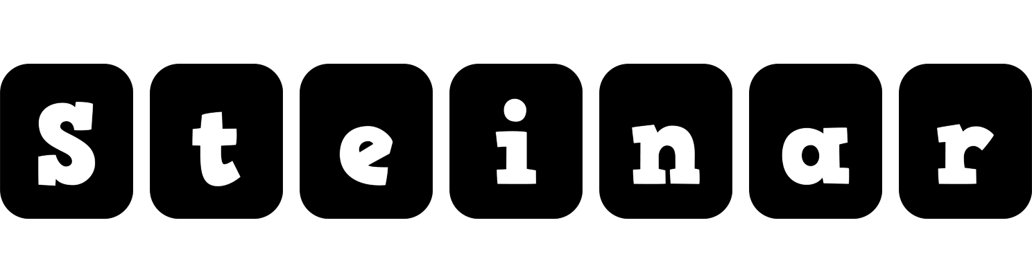 Steinar box logo