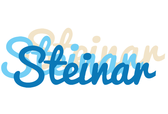 Steinar breeze logo