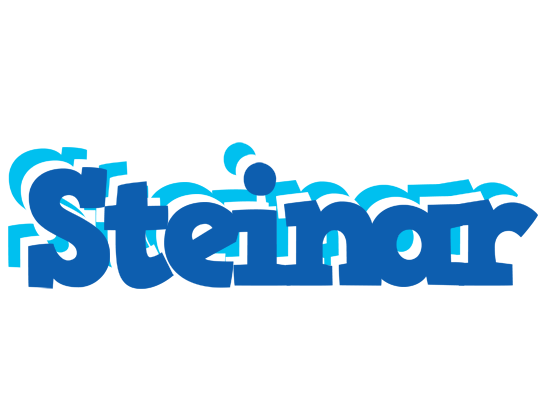 Steinar business logo