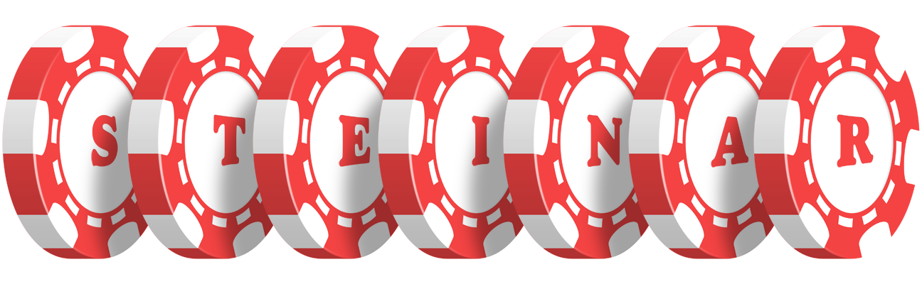 Steinar chip logo
