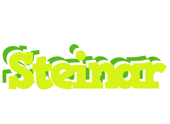 Steinar citrus logo