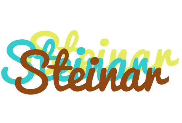 Steinar cupcake logo