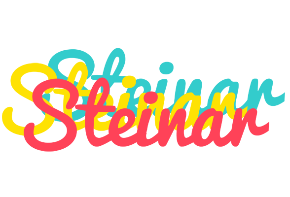 Steinar disco logo