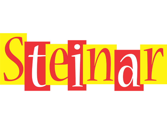 Steinar errors logo