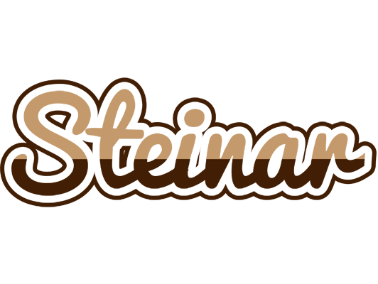 Steinar exclusive logo