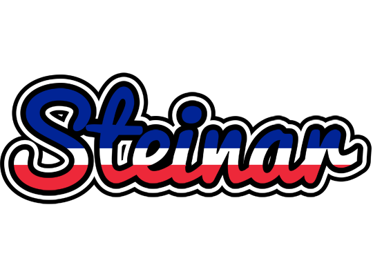 Steinar france logo