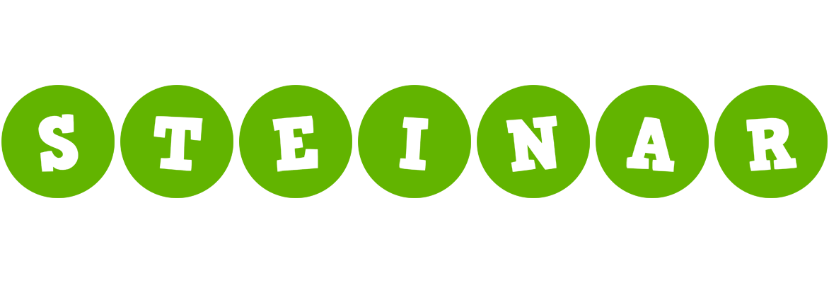 Steinar games logo