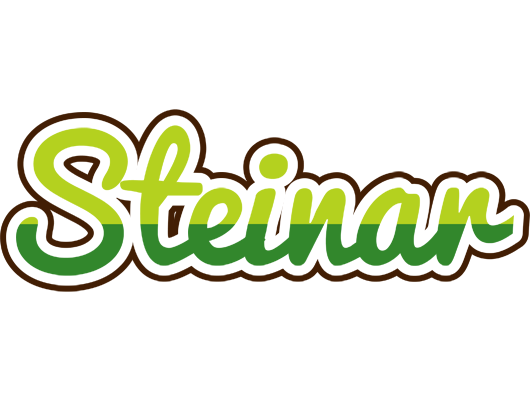 Steinar golfing logo