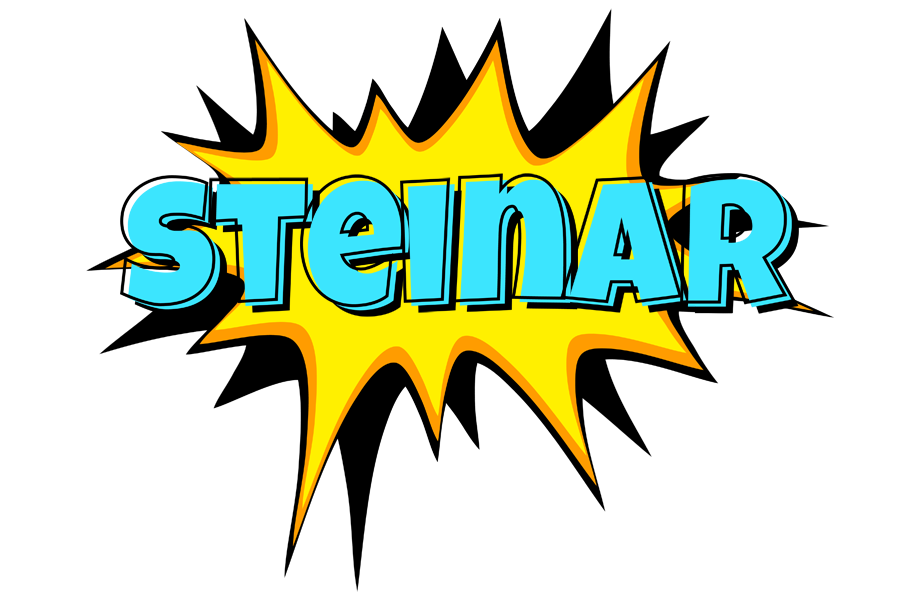 Steinar indycar logo