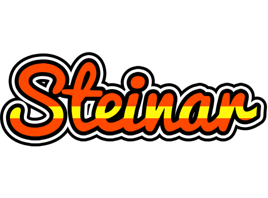 Steinar madrid logo