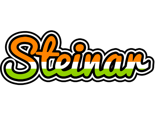 Steinar mumbai logo